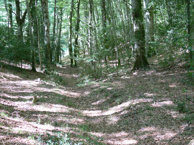 Cesta ke ke Grava di Monte Ceraso