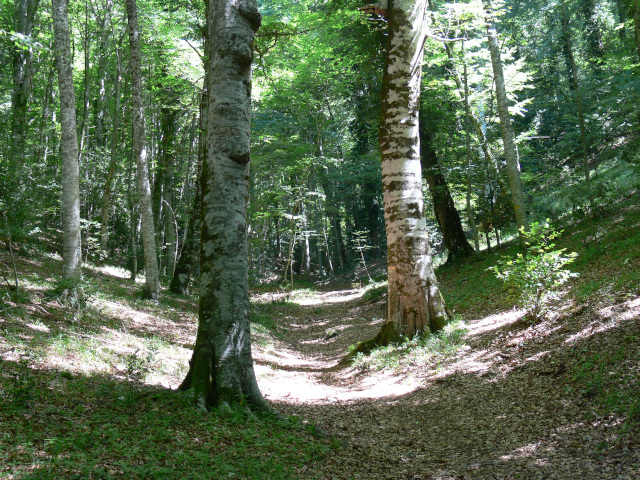 Sestup k Valle del Tesoro