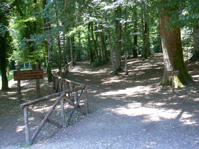 Cesta k rezervaci Falascone