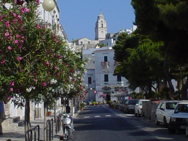 Cattedrale di Santa Maria Assunta