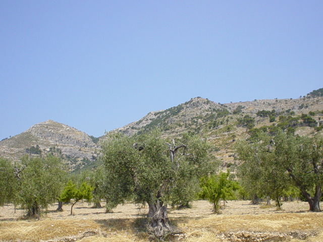 Gargano