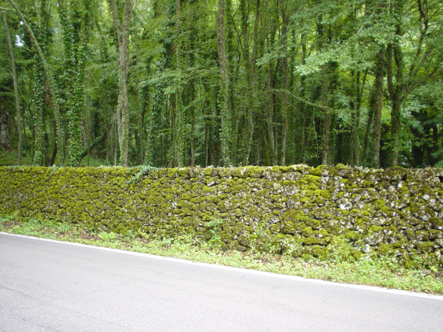 Zeď u silnice