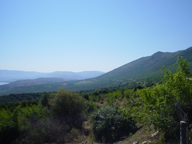 Gargano