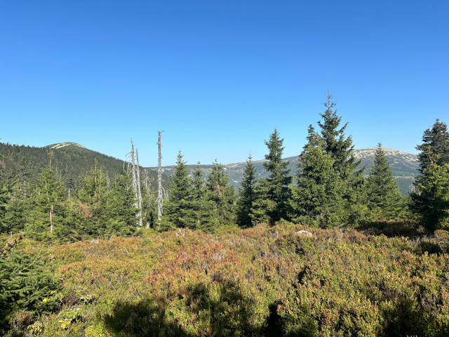 Vysok pl (1497 m)