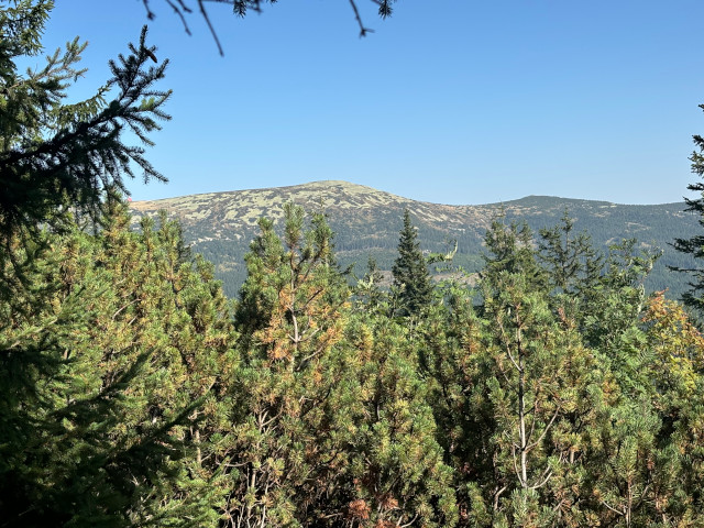 Vysok kolo (1509 m)