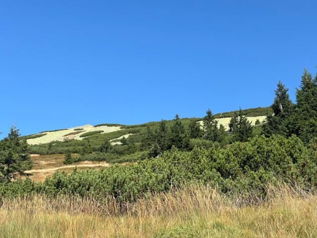 Zlat nvr (1411 m)