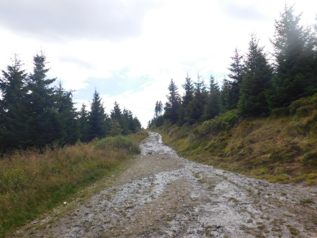 Cesta na Mravenenk