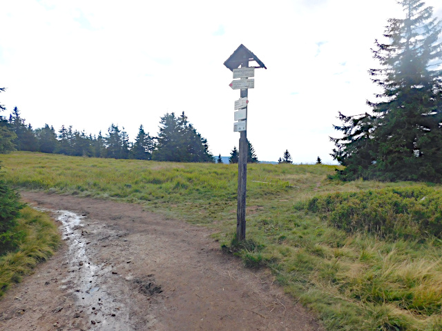 Sedlo Mravenenk (1343 m)