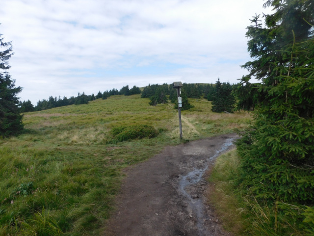 Sedlo Mravenenk (1343 m)