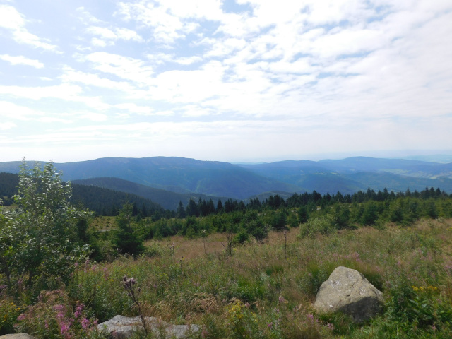 Bidlin hora (1358 m)