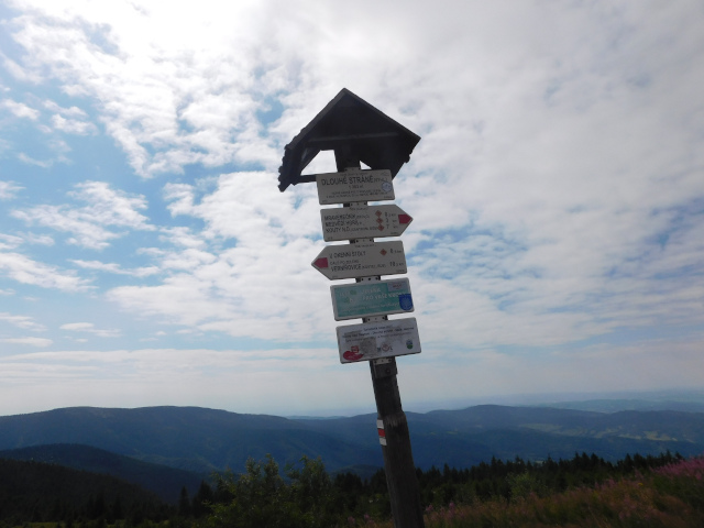 Vyhldka Dlouh Strn (1353 m)