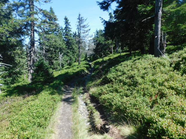 Lokalita Nad Vodopdem