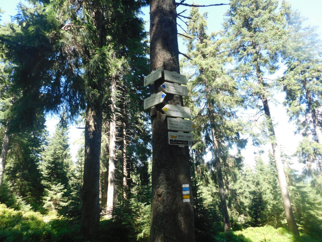 ernk (1200 m)