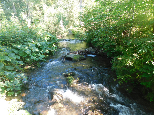 Moravice