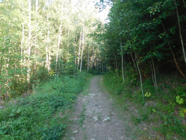 Cesta kolem Moravice
