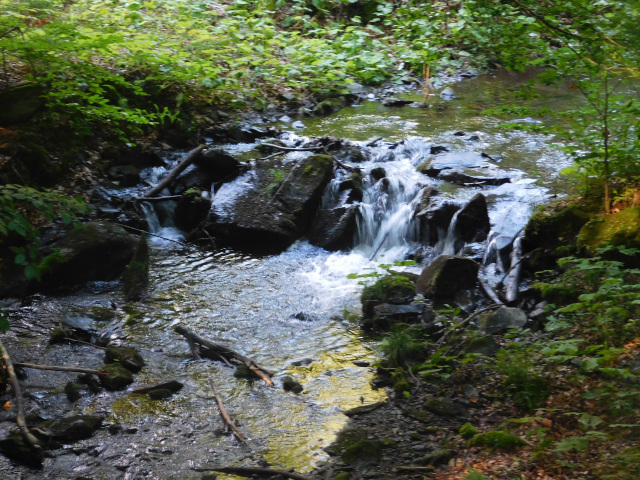 Moravice