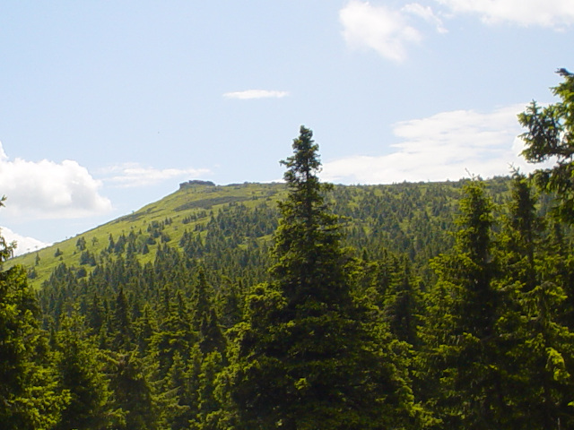 Petrovy kameny (1446 m)