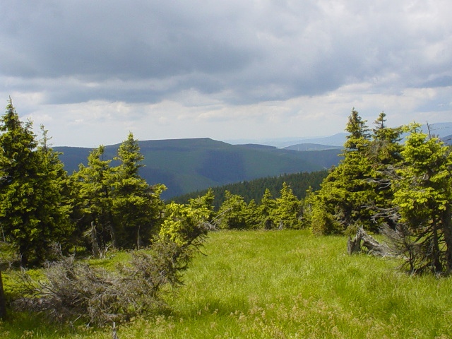 Dlouh Strn (1353 m)