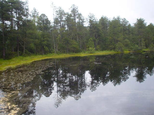 Great Moss Lake