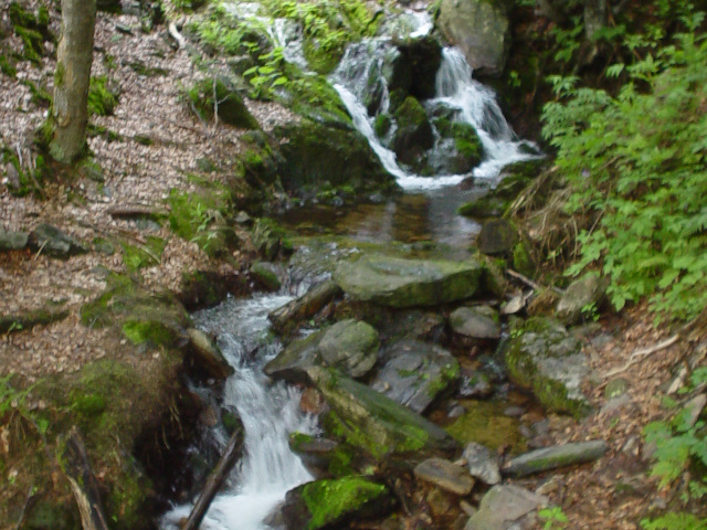 Waterfall in A deep Stream