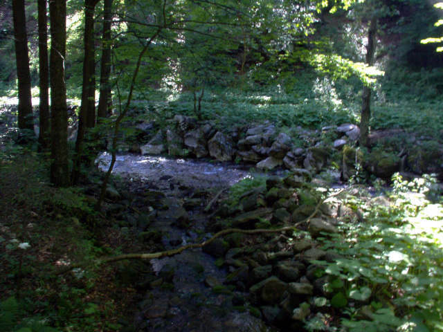 Kamenitý potok a Morava