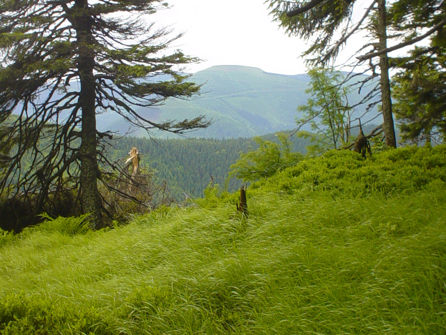 Dlouh strn (1353 m)