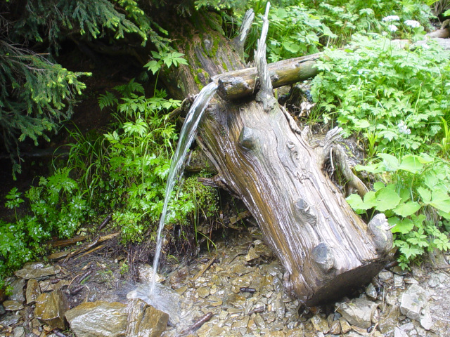 Pramen potoka v Divokém dole