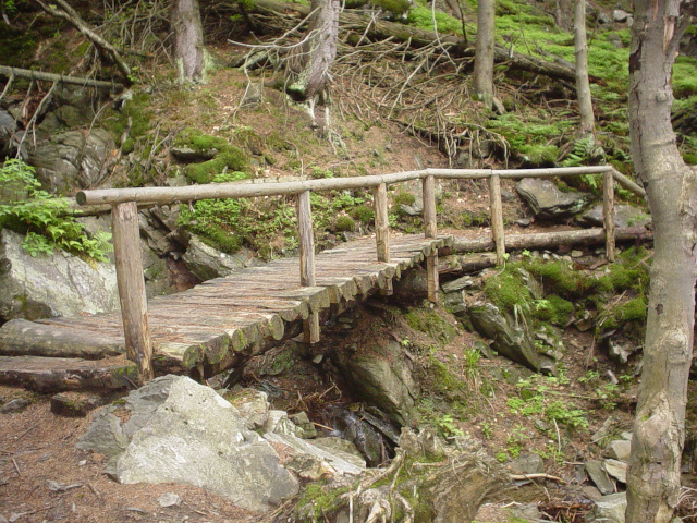 Footbridge in Divok dl