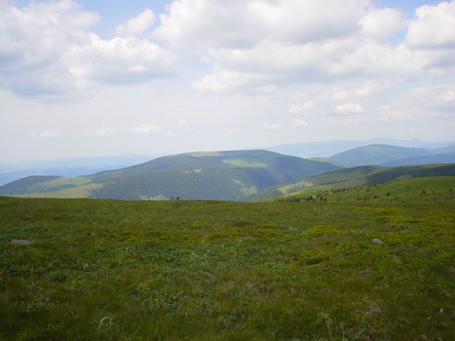 Dlouh strn (1353 m)