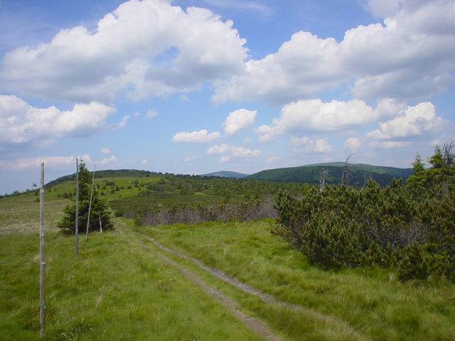 Bidlin hora (1358 m)