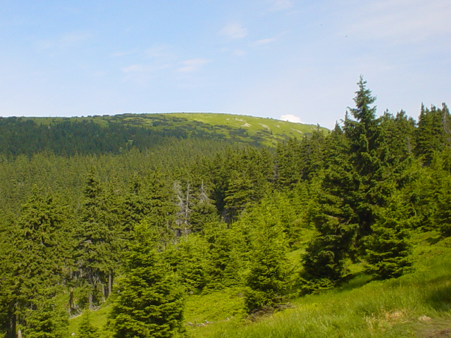 Krlick Snnk (1424 m)