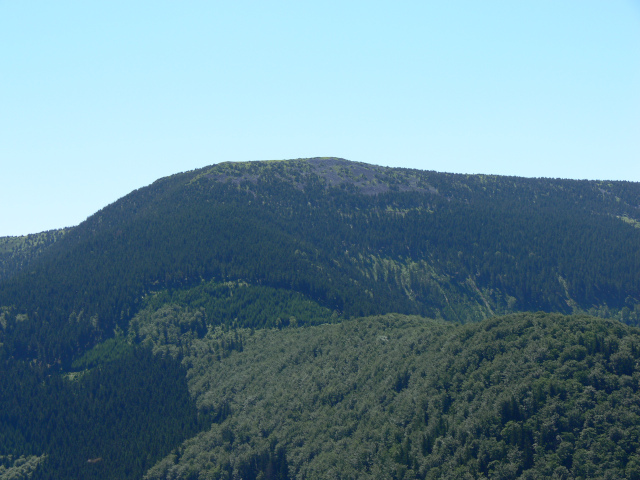 Bidlin hora (1358 m)