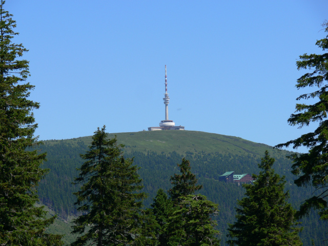 Praděd (1491 m)