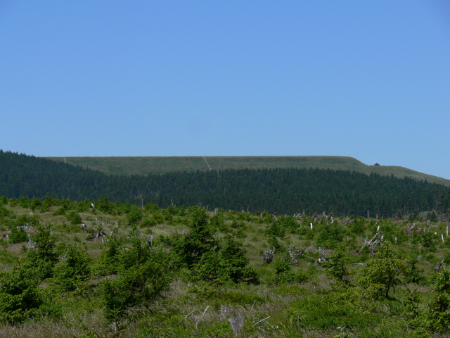 Dlouh Strn (1353 m)