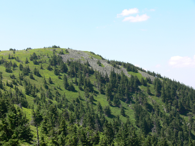 Bidlin hora (1358 m)