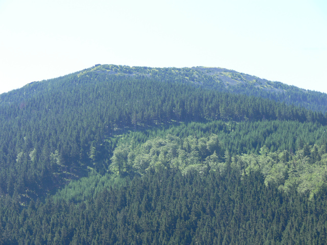 Bidlin hora (1358 m)