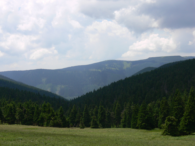 Dlouhé Stráně (1353 m)