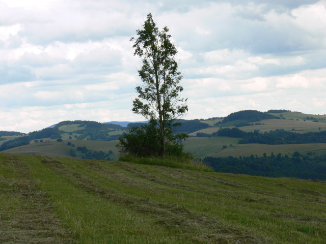 Louky nad lebem