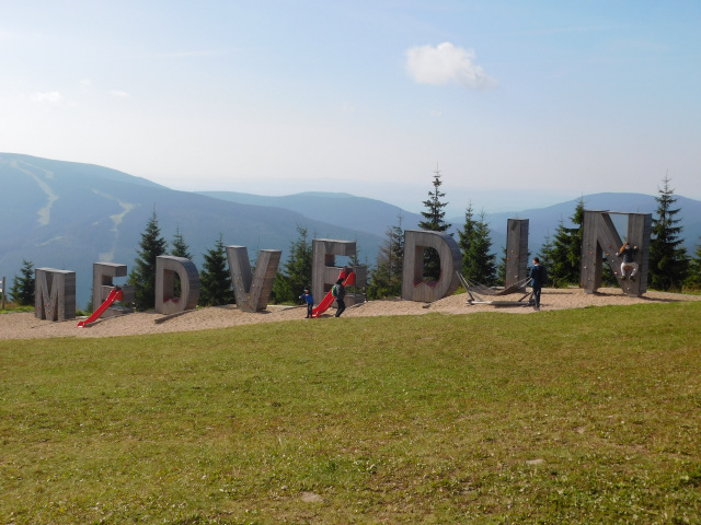 Medvdn