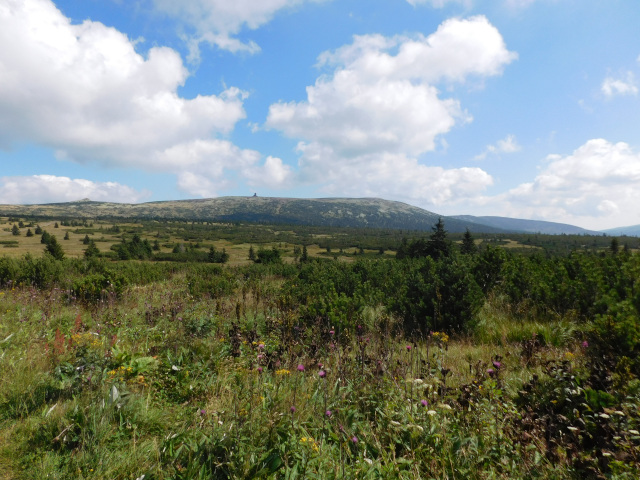Panavsk louka