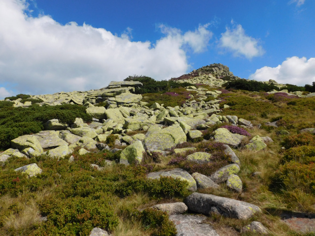 Violk (1472 m)