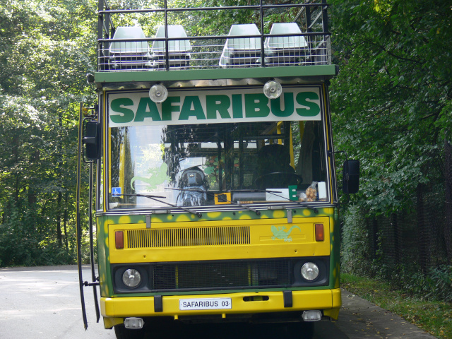 Safaribus