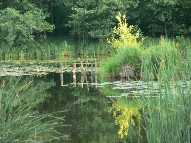 Castle Lake