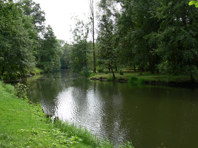 Rybník v parku