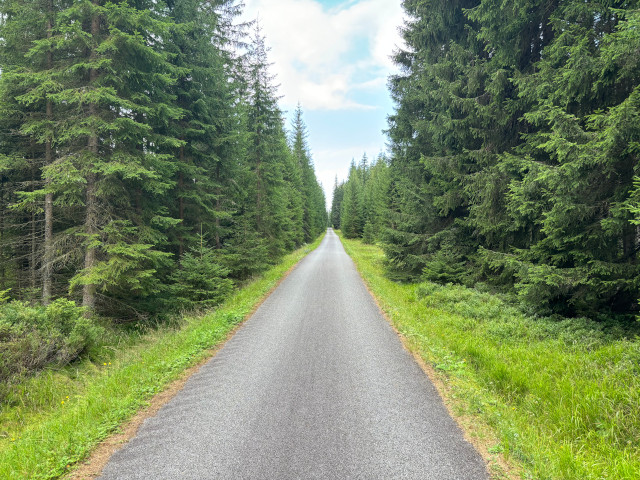 velsk cesta