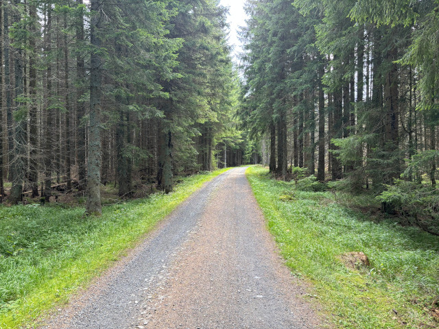 Vltavsk cesta