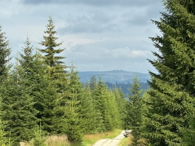 Polednk (1315 m)