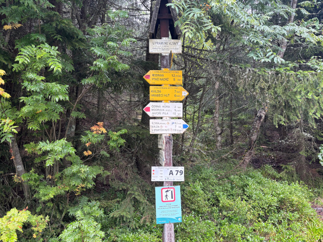 U pramene Vltavy (1165 m)