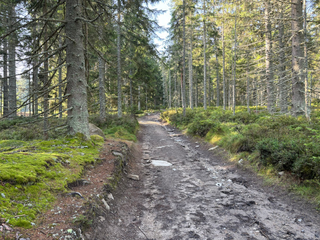 Jezern cesta
