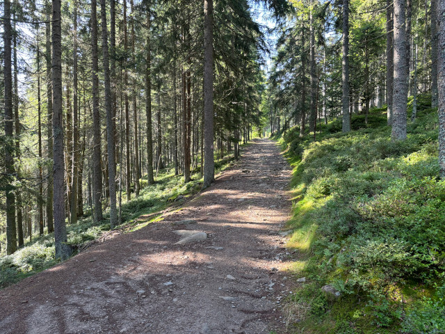 Jezern cesta